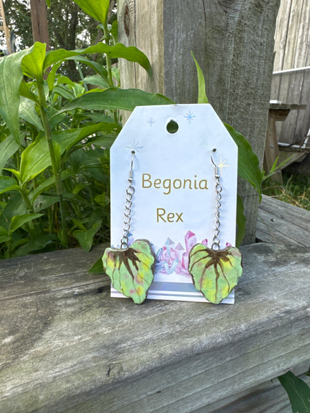 Botanical Earrings