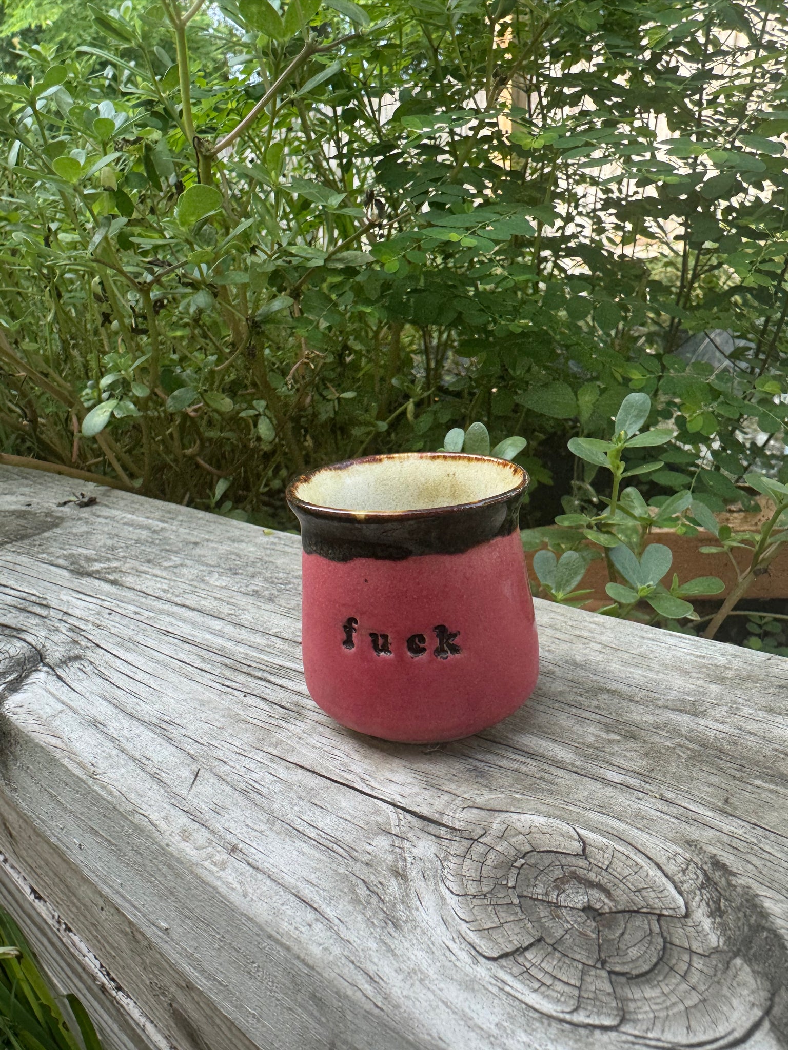 FuckCup
