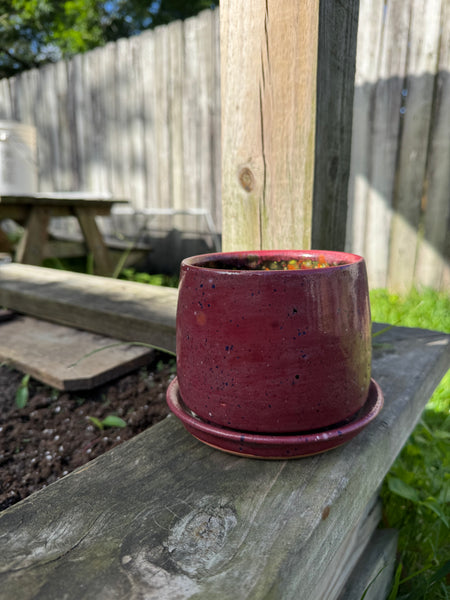 Simple Planters