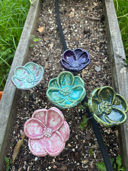 Pollinator Pools