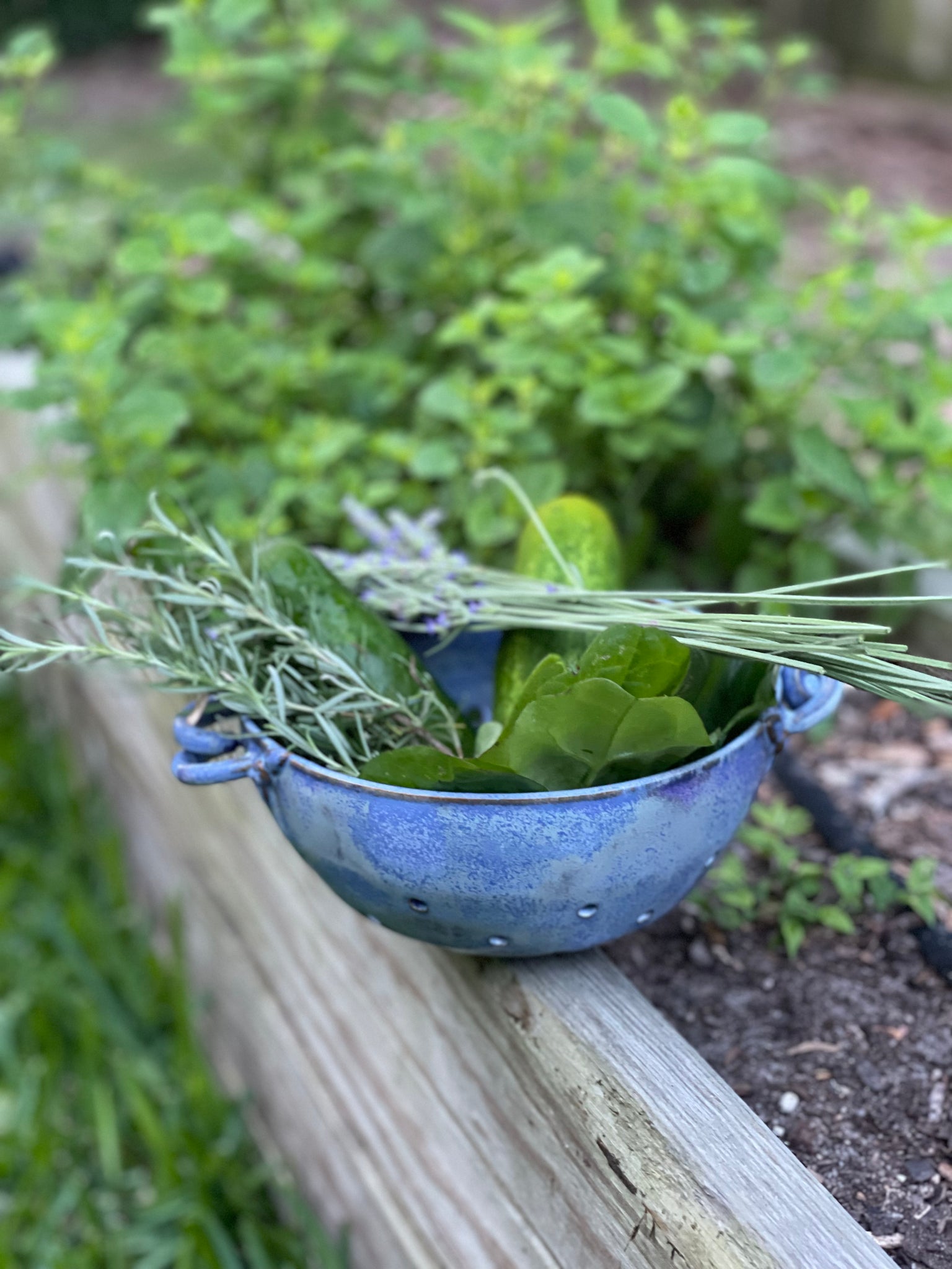 Berry Bowls